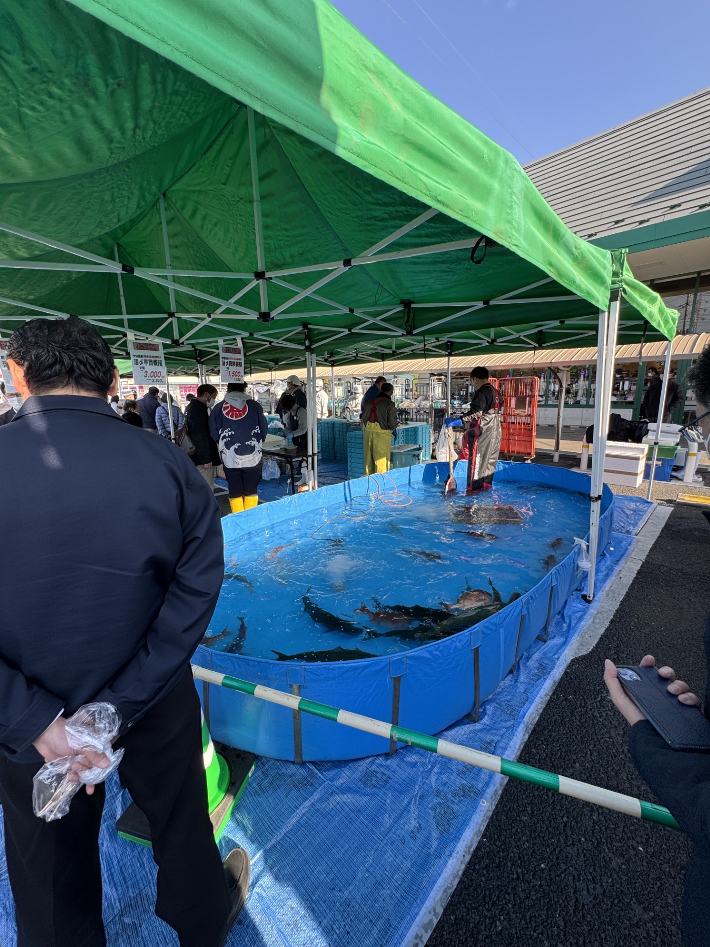 お魚シャトル20250216-2.jpg