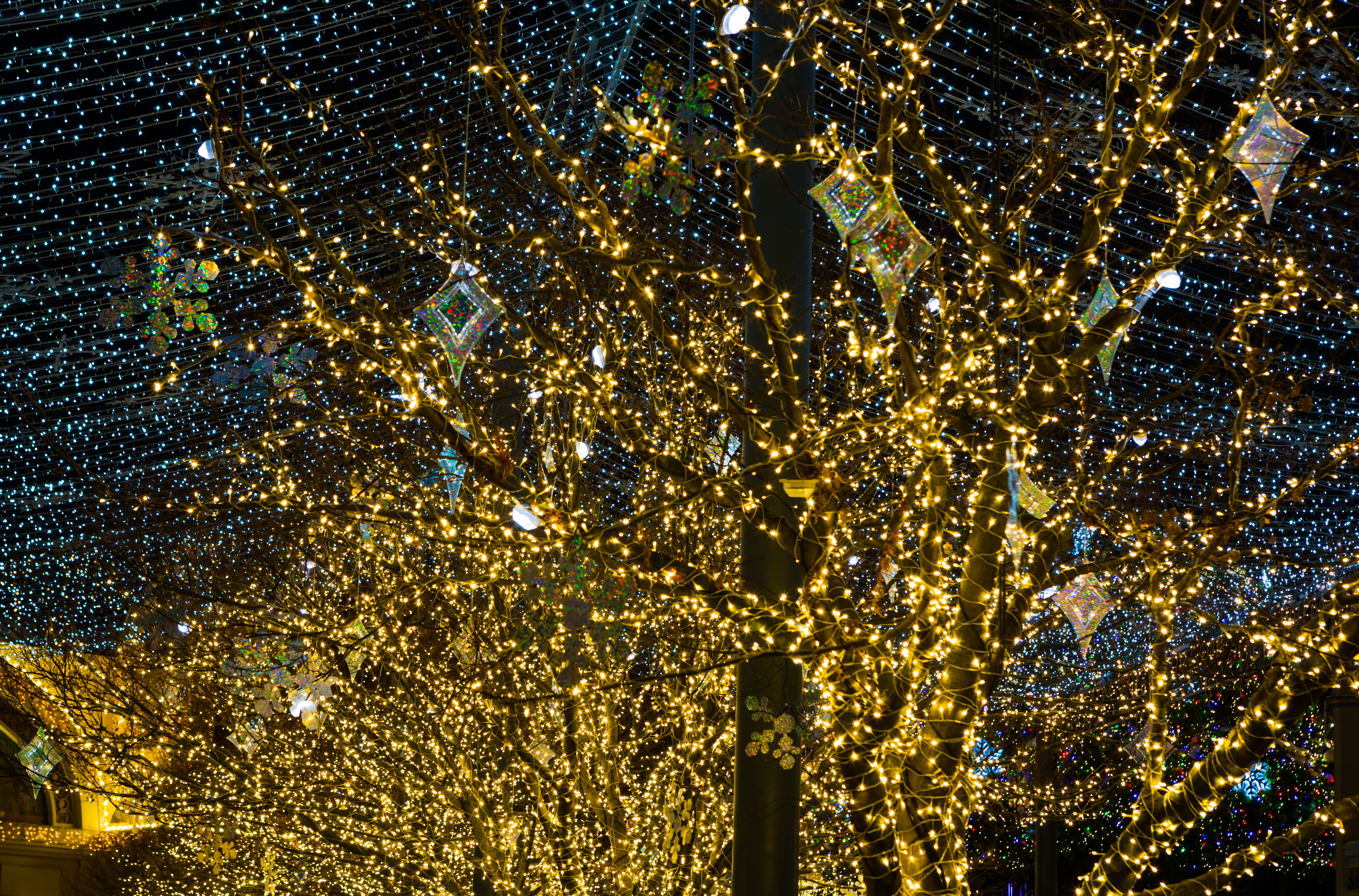 大宮サクラスクエア イルミネーション(メイン)